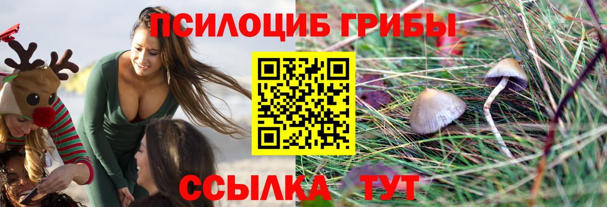 Галлюциногенные грибы GOLDEN TEACHER  Вход с VPN  Пугачёв 