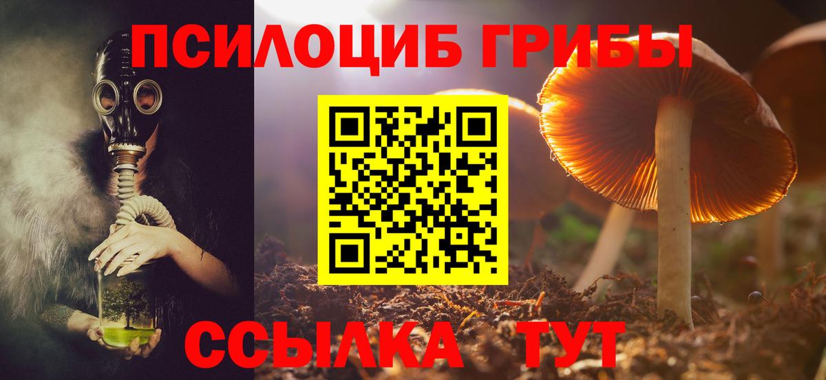 Псилоцибиновые грибы мицелий Пугачёв
